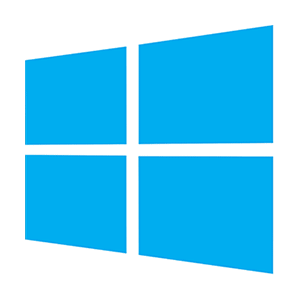 MS Windows Version