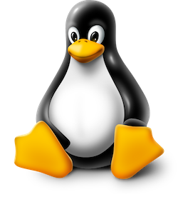 Linux Version